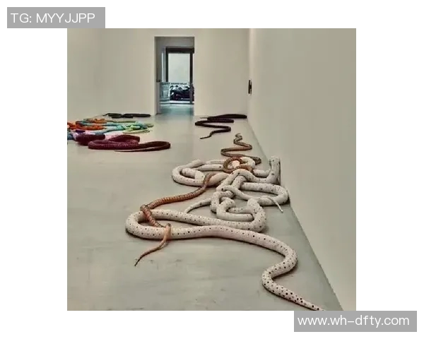 加莱诺的艺术世界探索与文化交融之旅 加莱诺的艺术世界探索与文化交融之旅