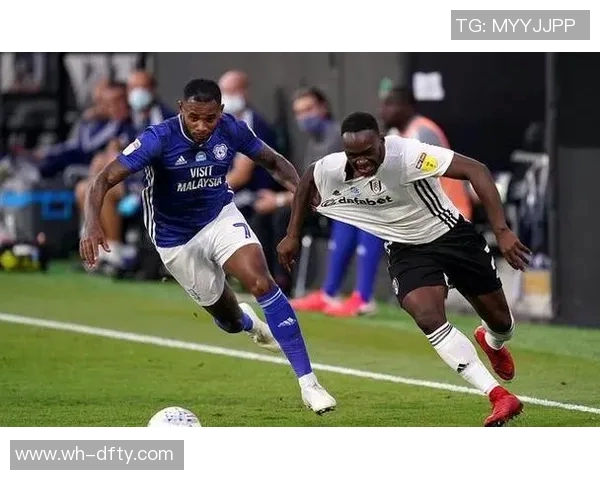 卡迪夫主场迎战布莱顿期待精彩对决双方争夺宝贵积分