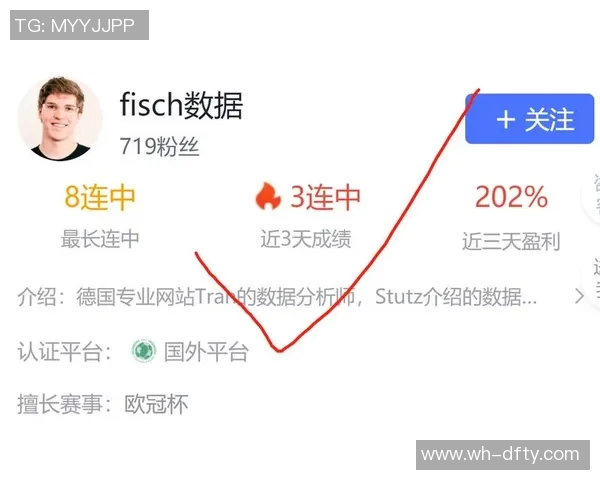 黑山与塞尔维亚对决谁将赢得胜利分析与预测