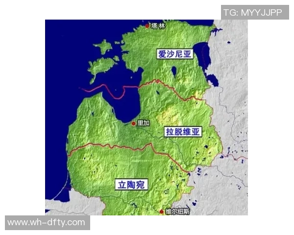 2018年爱沙尼亚与立陶宛足球对决回顾及赛后分析