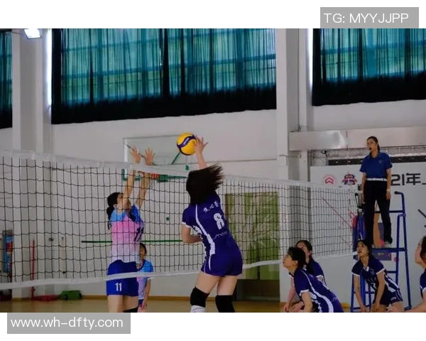 上海排球队在杯赛中的状态分析与表现评估 上海排球队在杯赛中的状态分析与表现评估