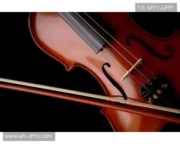 廖三宁的音乐之旅与人生哲学探索：从小提琴到心灵的共鸣