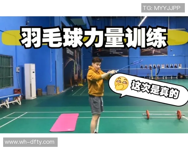 科学羽毛球耐力训练的有效方法与技巧探讨